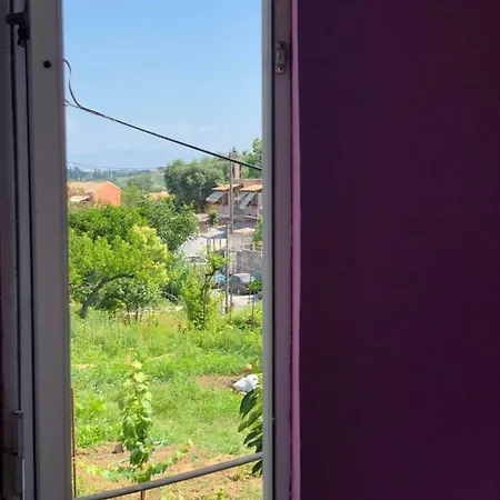 Cate's Achilleion Apartment's アパート